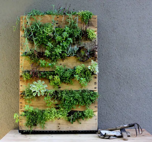 That you would not come up with myself! 14 ingenious things from ordinary wooden pallets