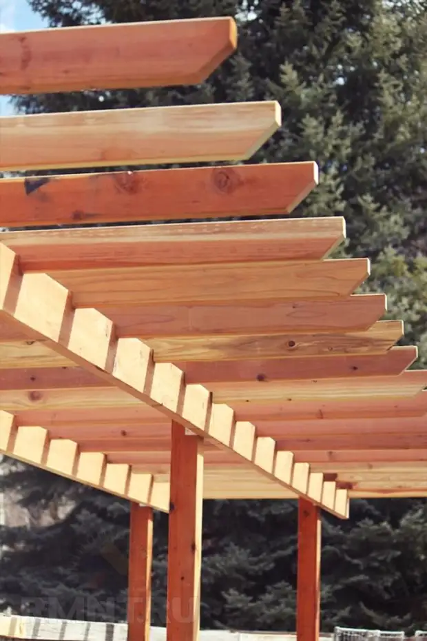 Comment construire Pergola pour les raisins le faire vous-même