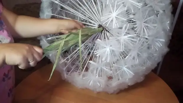 Grandega Dandelion Lanuga: Majstra Klaso