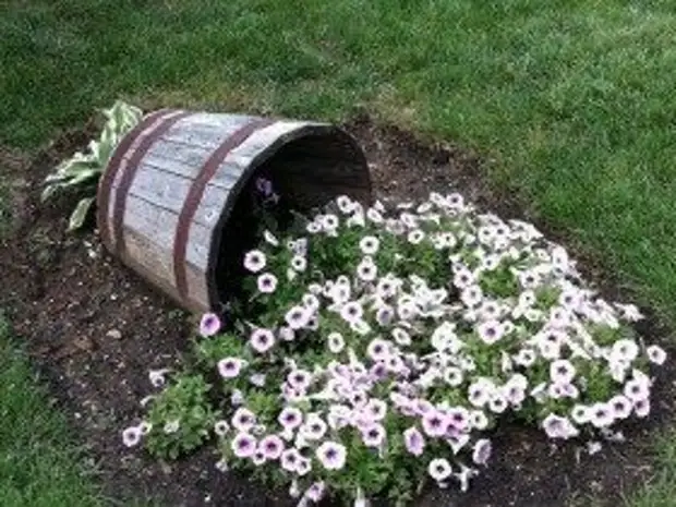 Idee originali del fiore del giardino