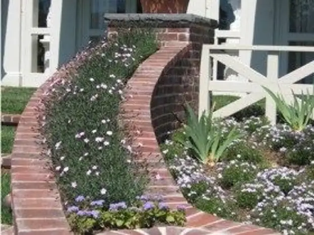 Idee originali del fiore del giardino