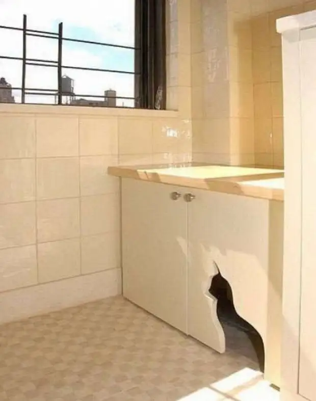 Di mana untuk menyembunyikan toilet kucing