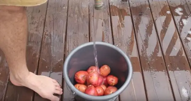 איך שמעקן פּאַטייטאָוז, גיסן וואַסער. / פאָטאָ: YouTube.com.