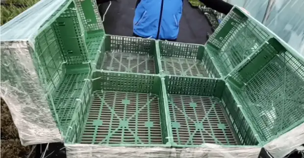 The most comfortable and simple mobile greenhouse, all the varieties like a shelf