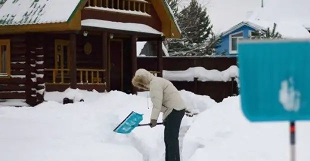 Como evitar plantas precoces "despertar" devido à falta de neve?