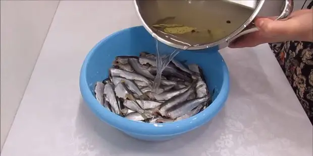 Forma deliciosa e fácil de recoller peixes: non poderás afastarse