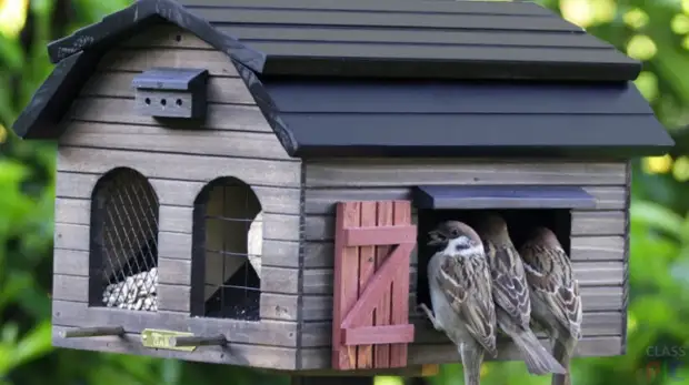 Ideat oriġinali ta 'Feeders Bird