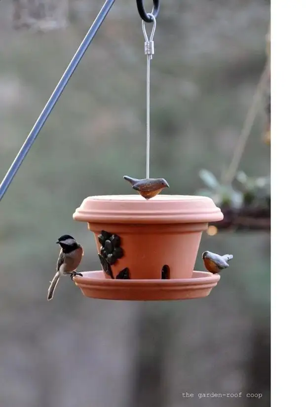 Ideat oriġinali ta 'Feeders Bird