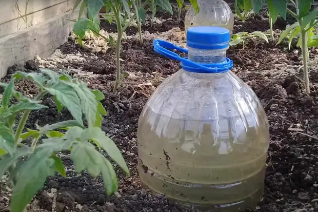 Apa sing kudu dilakoni karo botol banyu yen wis nglumpukake nganti musim semi