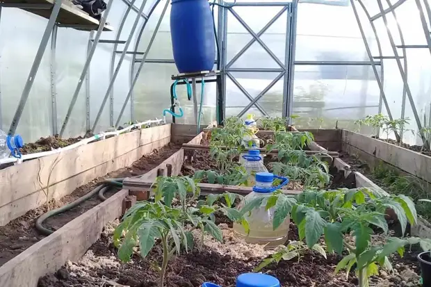 Què fer amb ampolles d'aigua si han acumulat massa a la primavera