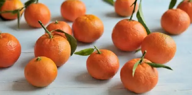 What to cook with mandarins - 5 winter ideas