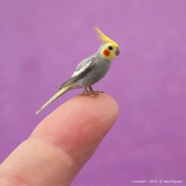 Esculturas de animais em miniatura