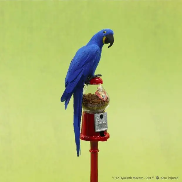 Miniatuur dierlijke sculpturen