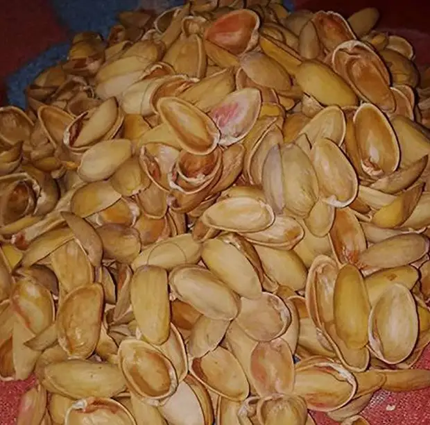 დეკორი საწყისი ჭურვი საწყისი pistachios