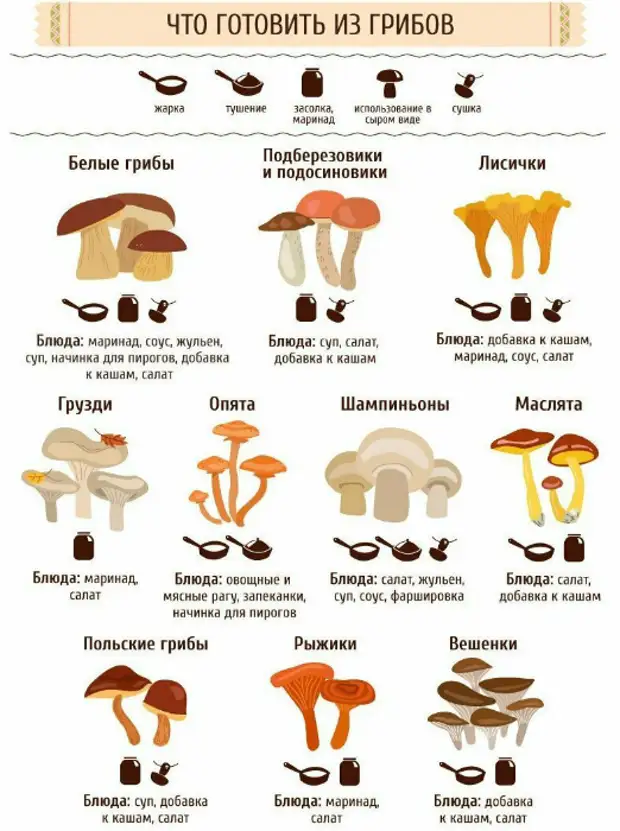 Typer av svamp och egenskaper i deras kombination. | Foto: Användbara tips.