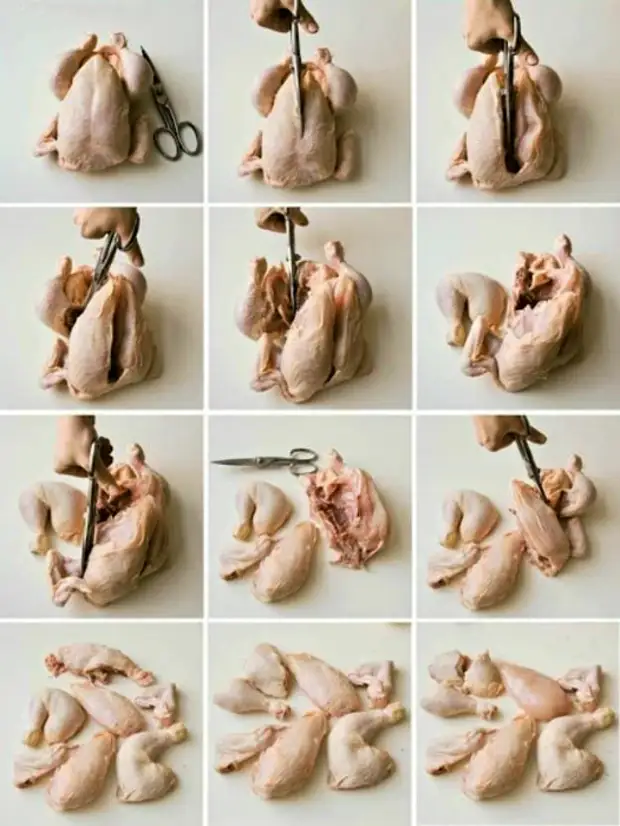 Як обробити курячу тушу. | Фото: Pinterest.