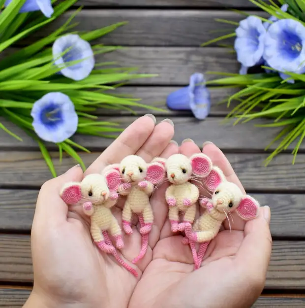 Tikus kecil yang menawan dari Guru