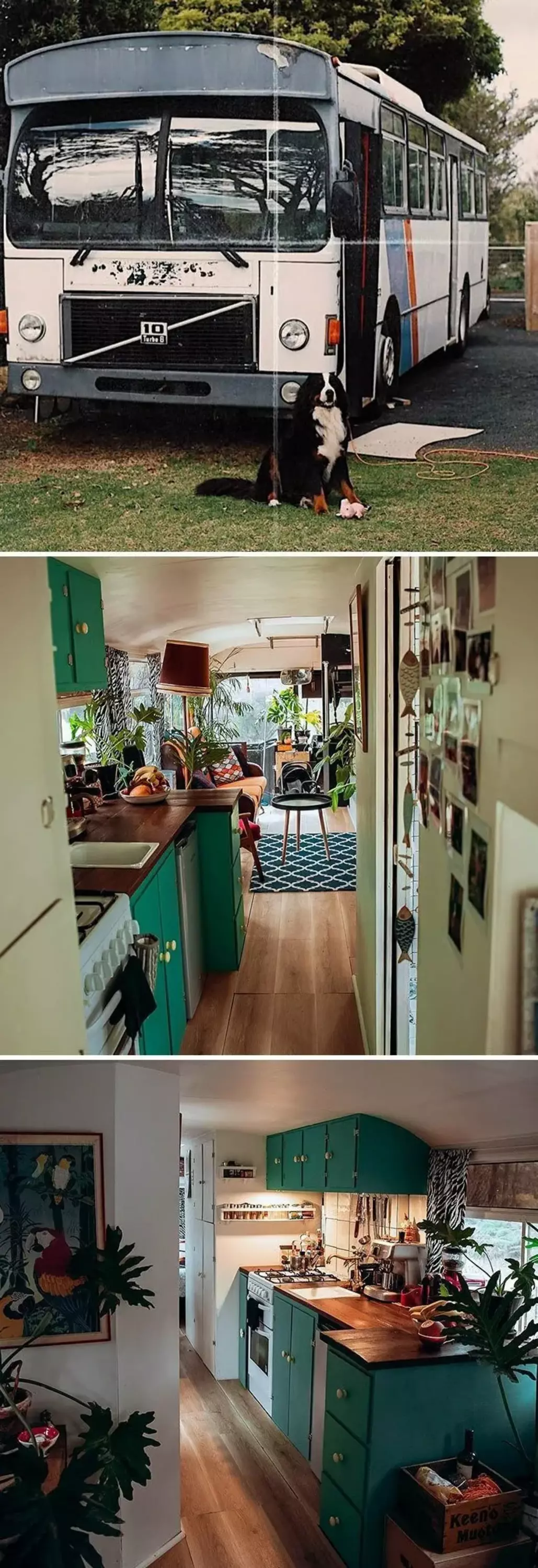 30 houses on wheels who are cozy many apartments