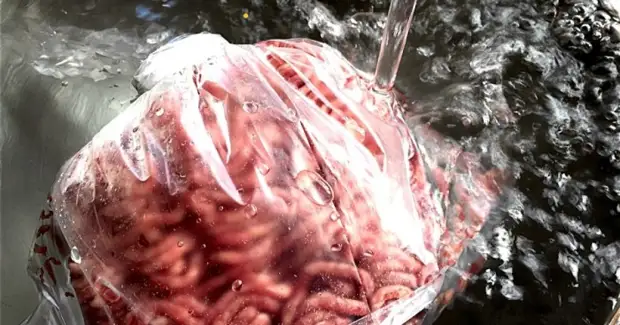 降低沸水中的冷凍食品，它們可以快速解凍它們。 /照片：image.forskning.no