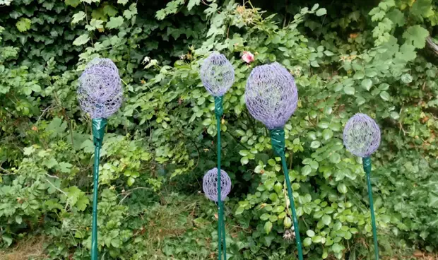 Diese Blumen sind im Winter nicht bedeckt! 3 coole Ideen für das charmante Dekor im Garten und im Land