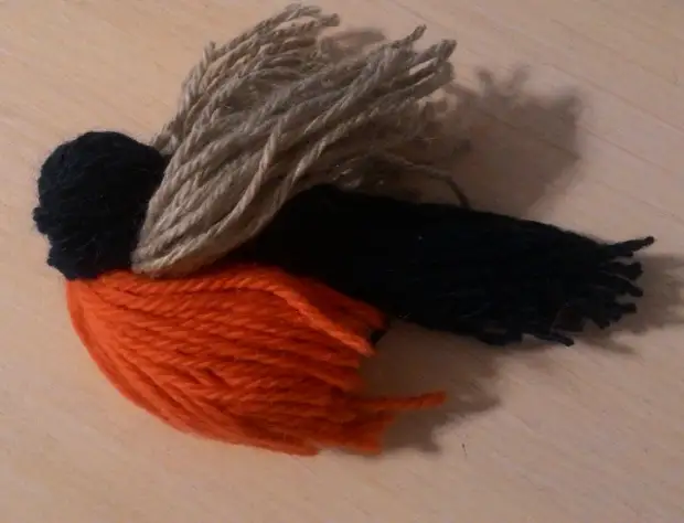 Pájaros de hilo de lana: clase maestra paso a paso con foto