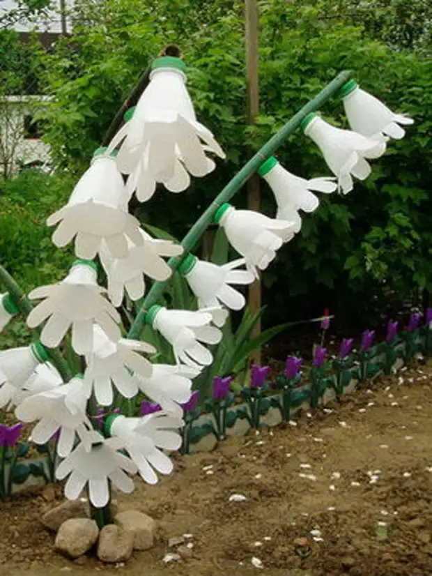 Idees van die gebruik van plastiekbottels in die tuin en tuin