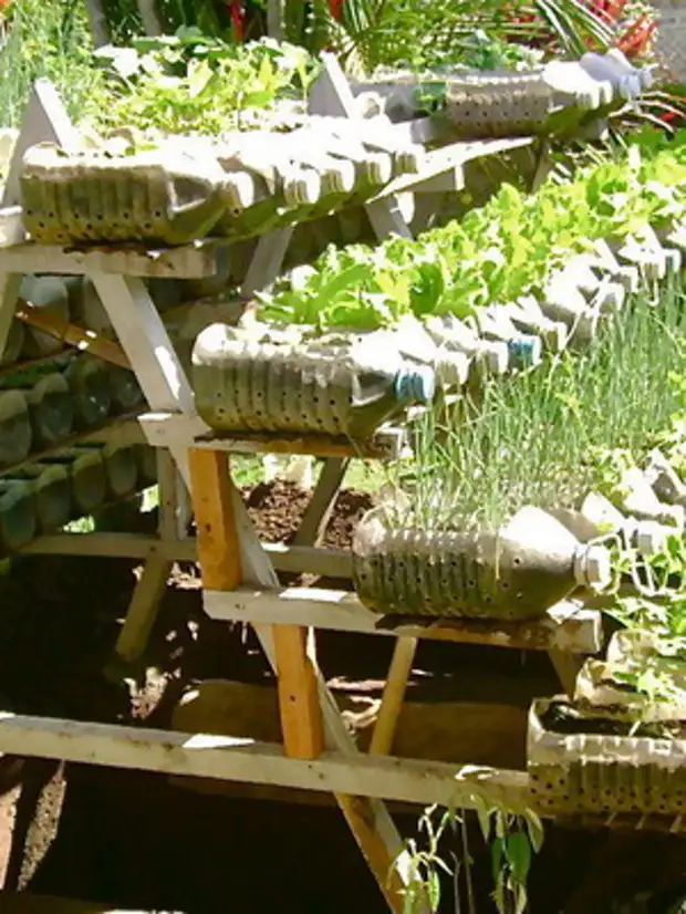 Ideeën van het gebruik van plastic flessen in de tuin en de tuin