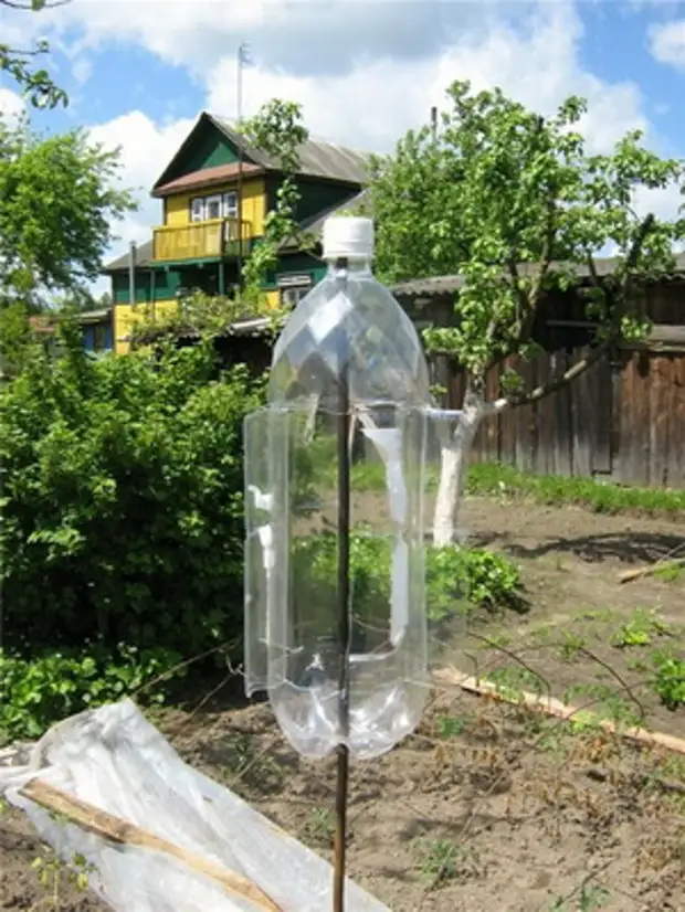 Ideeën van het gebruik van plastic flessen in de tuin en de tuin