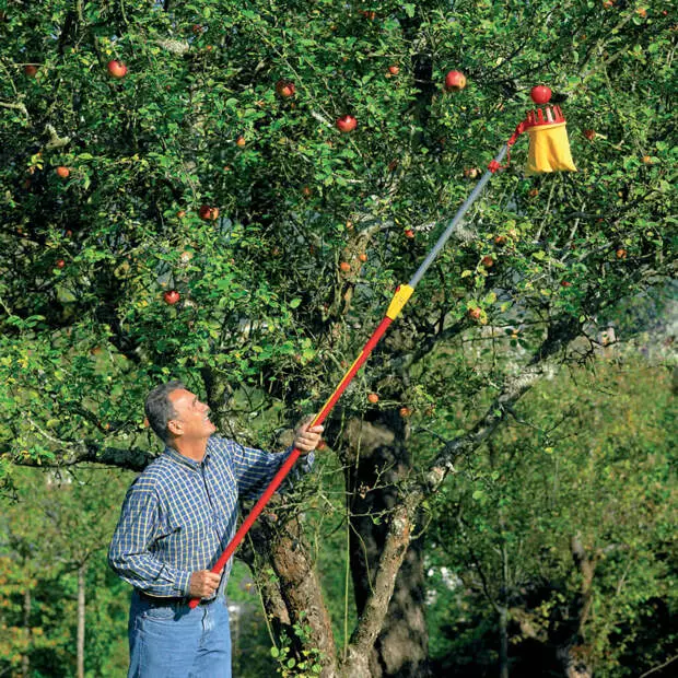 איך לעשות פרי עם ידית טלסקופית