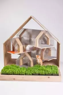 Rumah untuk kucing dari plastik dan kayu