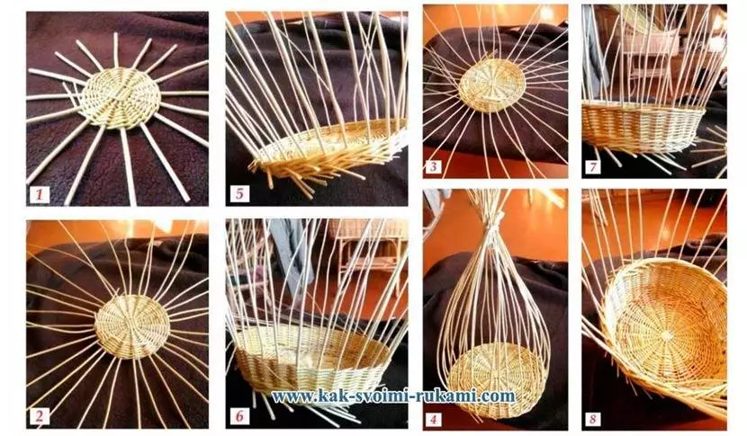 മുന്തിരിവള്ളിയിൽ നിന്ന് ബ്രെഡർമാർ സ്വയം ചെയ്യും