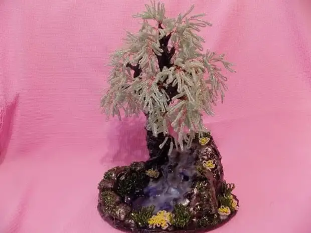 Çêkirina dara Bonsai Bonsai