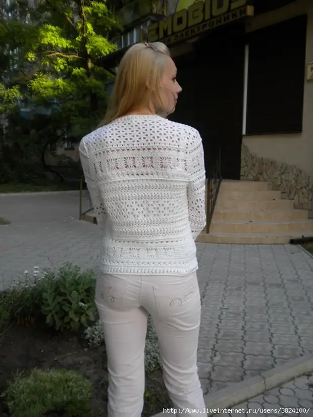 Bunda a Cardigan: Schéma a popis