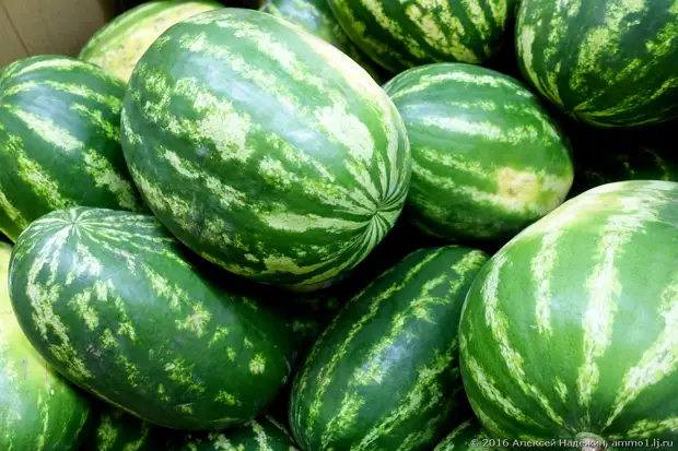 Awayê çêtirîn ku hilbijêrin Watermelon