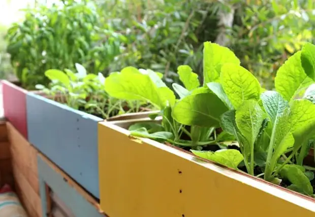 L'altération la plus simple du balcon des matériaux moulées