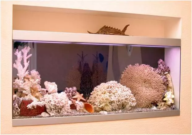 Imitation aquarium: Mga klase sa agalon