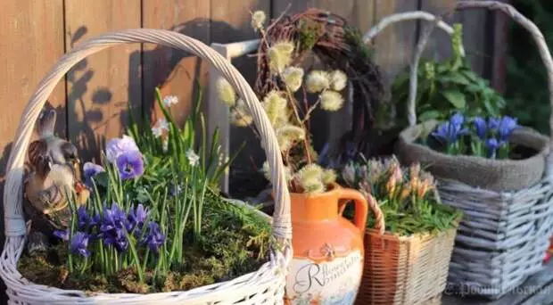 Ostern: Die besten Ideen von Dekorationen mit Blumen und Rezept für eine Stille von Elena Eltern