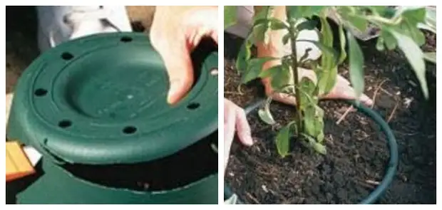 Användbar användning av plastkrukor i trädgården