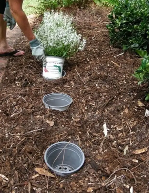 Koristna uporaba plastičnih loncev na vrtu