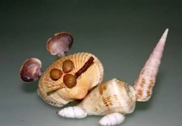 Iddien vu Crabelen aus Seashells déi aus der Vakanz bruecht hunn