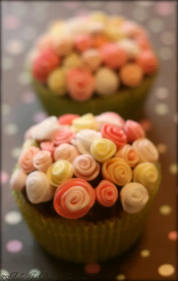 MOMDONCUPPIES (317X500, 61 kBB)