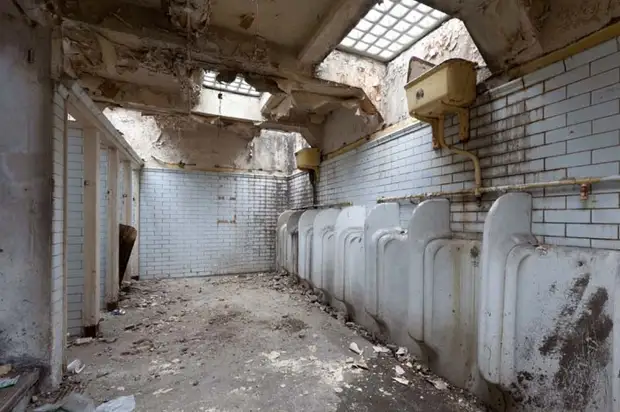 Người phụ nữ đã mua một nhà vệ sinh công cộng và biến nó thành một căn hộ mơ ước