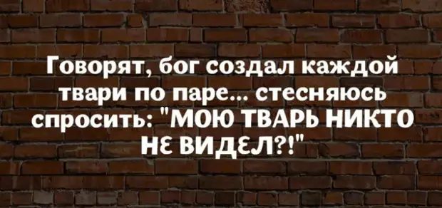 Тоа е она што е способен за женска имагинација и снаодливост