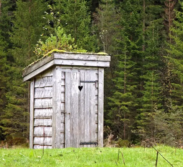 Schöne Toiletten in der Hütte: 30 magische Ideen