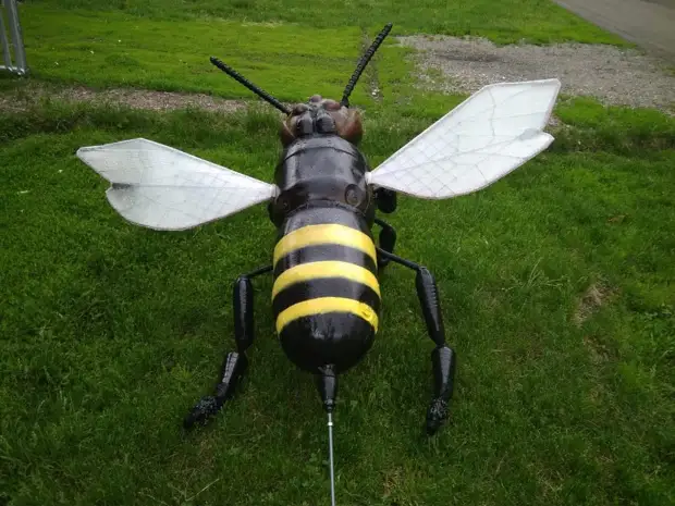 Bee from tyttöystävä