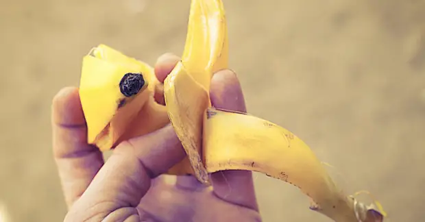 Ħu banana misjuba aħjar. 1m-idea.ru.