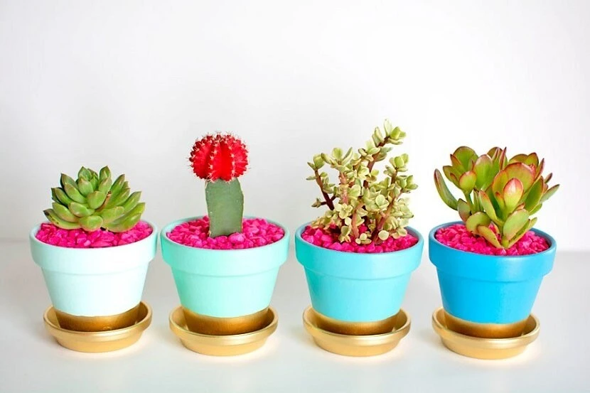 How to decorate a flower pot: 12 decor ideas with instructions