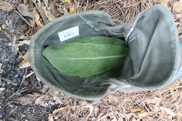 Plantillas Caminatas y plantillas húmedas: las cosas son prácticamente inseparables. Mientras que las plantillas se secarán, puede hacer las nuevas. Para estos fines, es imposible encajar las densas hojas de una vaca. Solo puedes elegir el tamaño adecuado.