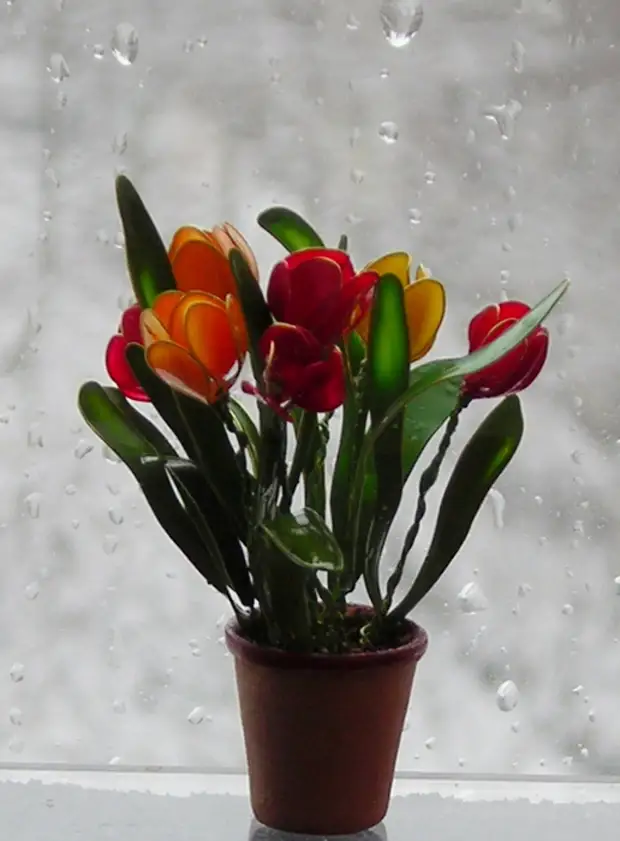 Tulips কর্মশালা 006 (516x700, 335KB)