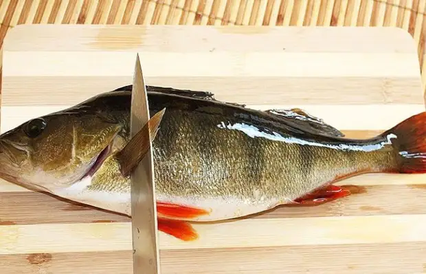 Usoro iji kpochaa perch na-enweghị iwepu skins